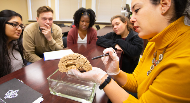鶹ҹ professor showing a sculpture of the brain to a group of students