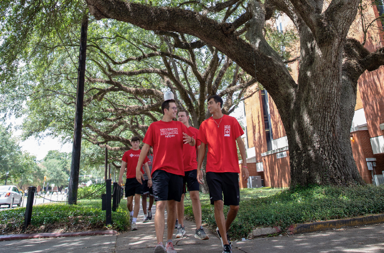 鶹ҹ students walking underneath a canopy of oak trees on campus